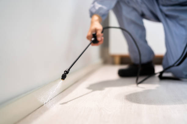 Licensed Pest Control service in Harrison, MI - Nex Pest Control