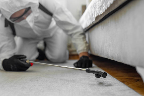 Professional Pest Control technician working in Harrison, MI
