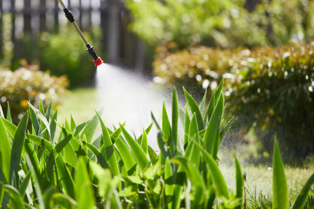 24/7 Emergency Pest Control experts in Harrison, MI
