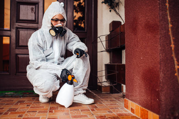 Reliable Pest Control contractor in Harrison, MI by Nex Pest Control