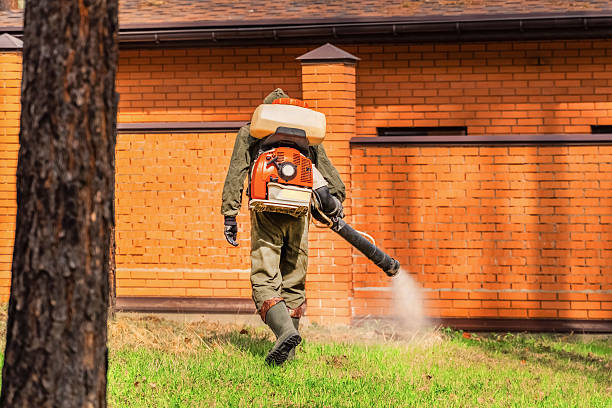 Top rated local Pest Control specialists in Harrison, MI